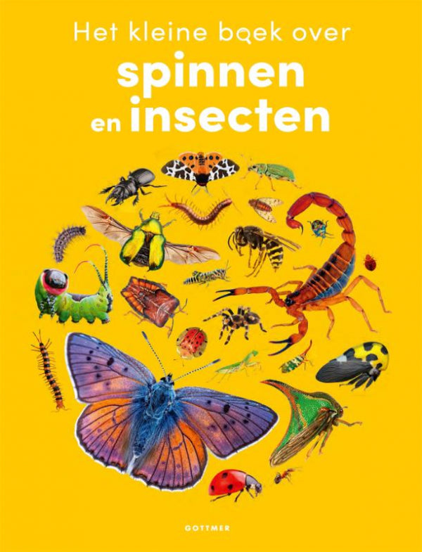Het-kleine-boek-over-spinnen-en-insecten-boek-cover-9789025782856