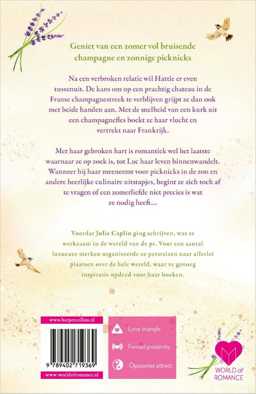 Het-kleine-chateau-in-Frankrijk-flaptekst-9789402719369