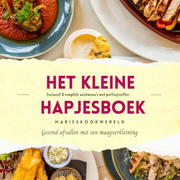 Het-kleine-hapjesboek-na-je-maagverkleining-boek-cover-9789083191430