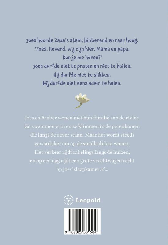 Het-kleine-huis-bij-de-rivier-flaptekst-9789025881504