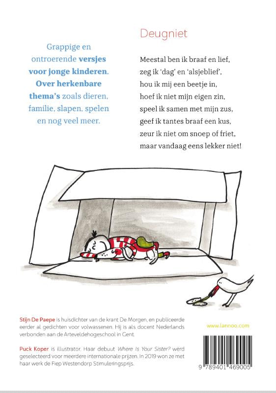 Het-lijkt-wel-een-feestje-flaptekst-9789401469005