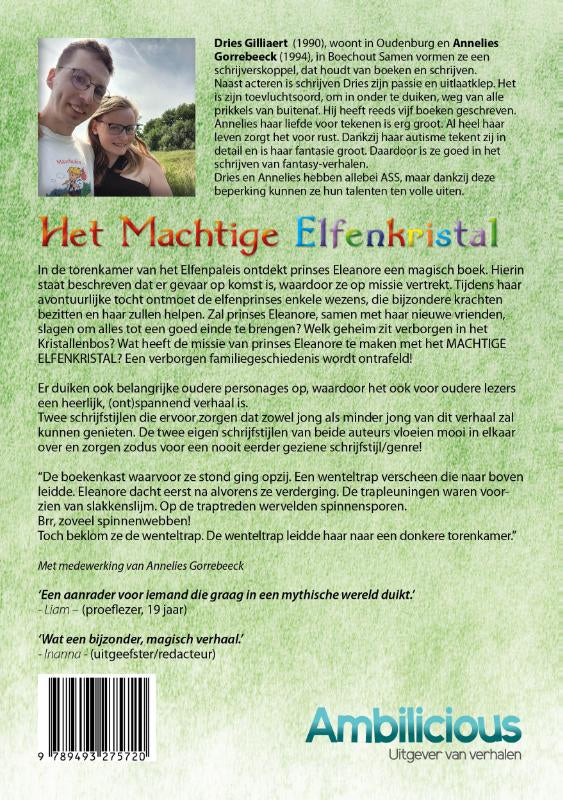 Het-machtige-elfenkristal-flaptekst-9789493366992