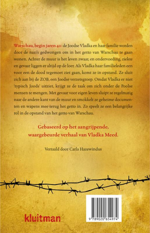 Het-meisje-aan-de-andere-kant-van-de-muur-flaptekst-9789020654974