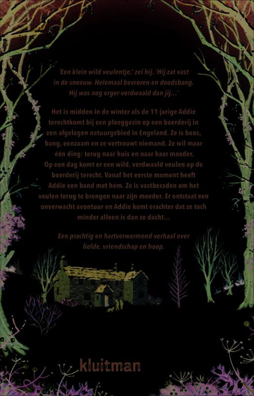 Het-meisje-en-het-veulen-flaptekst-9789020628630
