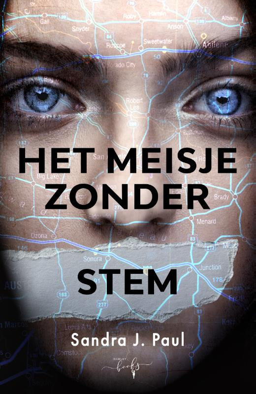 Het-meisje-zonder-stem-boek-cover-9789493452268