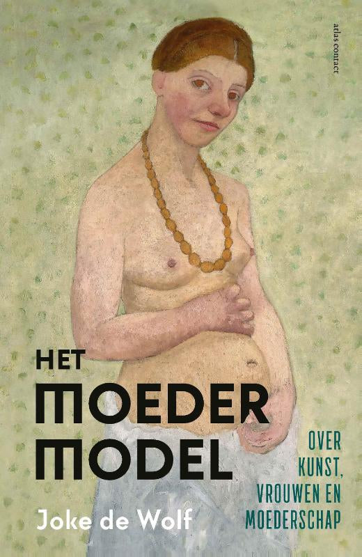 Het-moedermodel-boek-cover-9789045046648