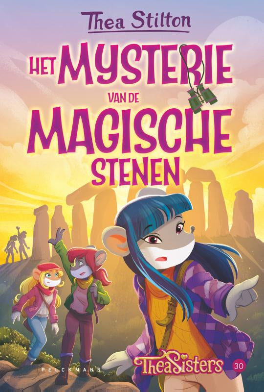Het-mysterie-van-de-magische-stenen-boek-cover-9789464290882