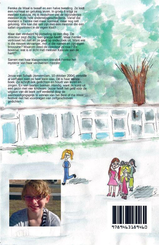 Het-mysterie-van-de-verdwenen-meester-flaptekst-9789463189460