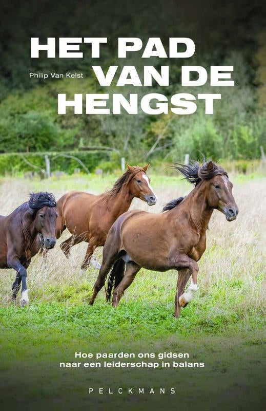 Het-pad-van-de-hengst-boek-cover-9789465300764