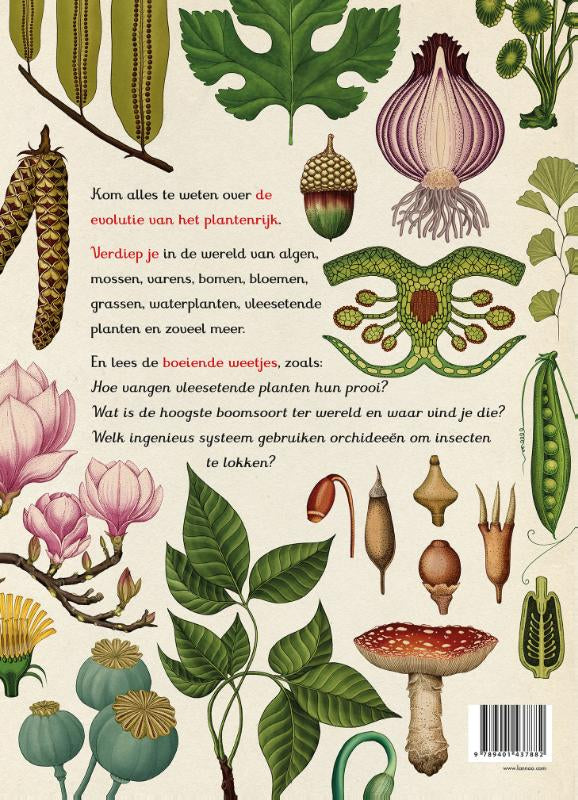 Het-plantenboek-flaptekst-9789401437882