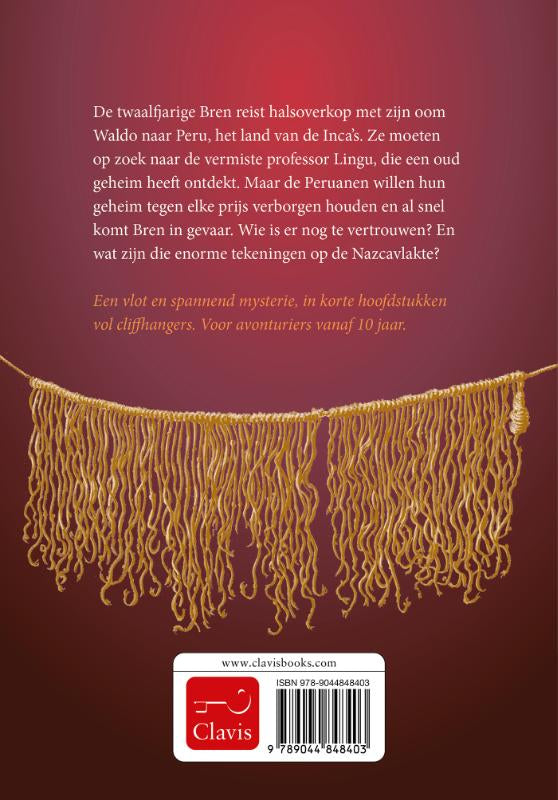 Het-raadsel-rond-de-Incacode-flaptekst-9789044848403