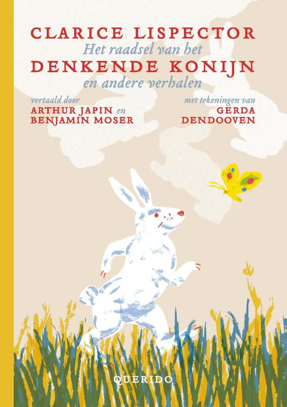Het-raadsel-van-het-denkende-konijn-en-andere-verhalen-boek-cover-9789045123615