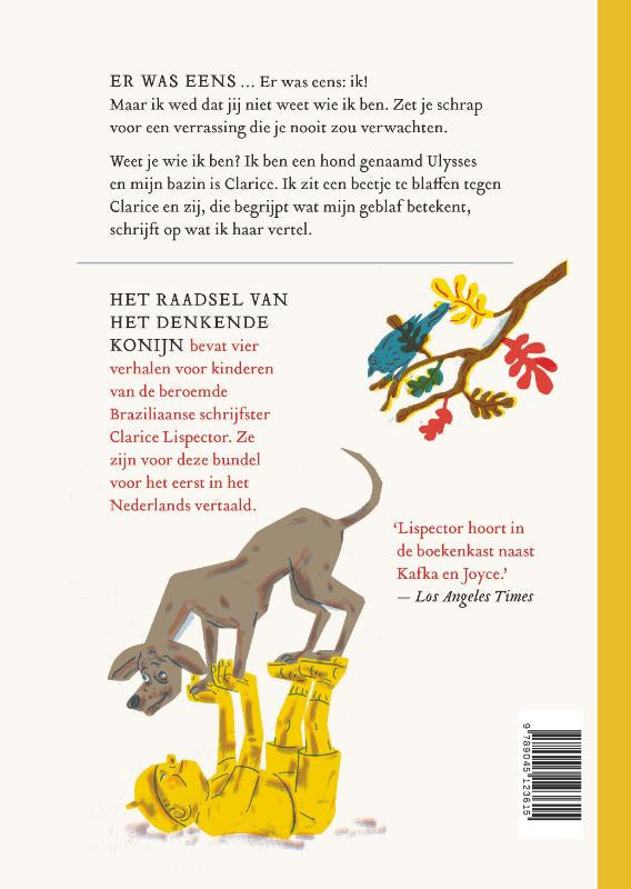 Het-raadsel-van-het-denkende-konijn-en-andere-verhalen-flaptekst-9789045123615