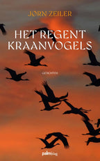 Het-regent-kraanvogels-boek-cover-9789493343092
