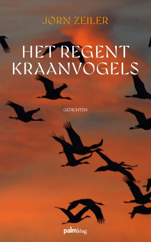 Het-regent-kraanvogels-boek-cover-9789493343092