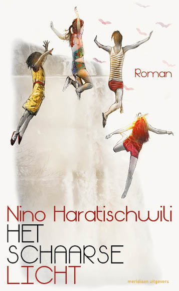 Het-schaarse-licht-boek-cover-9789493305748