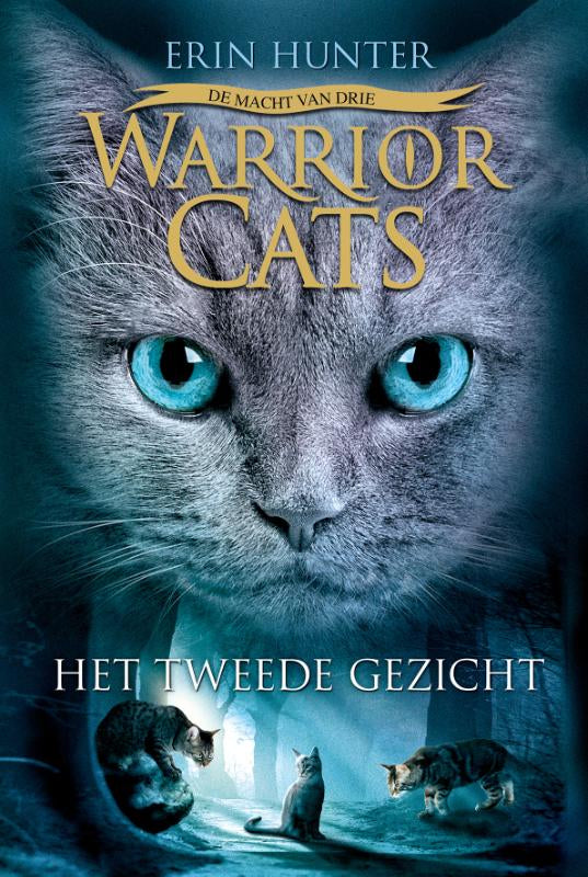 Het-tweede-gezicht-boek-cover-9789059244214