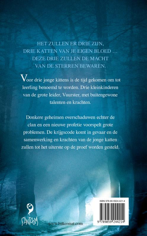 Het-tweede-gezicht-flaptekst-9789059244214