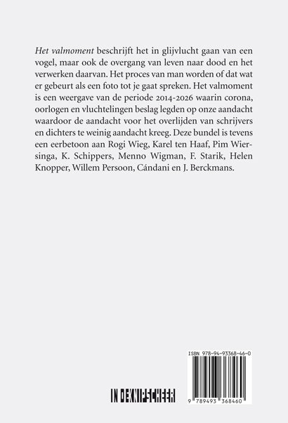 Het-valmoment-flaptekst-9789493368460