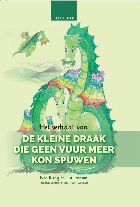 Het-verhaal-van-De-kleine-draak-die-geen-vuur-meer-kon-spuwen-boek-cover-9789082361384