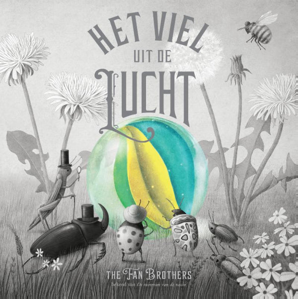 Het-viel-uit-de-lucht-boek-cover-9789025884000