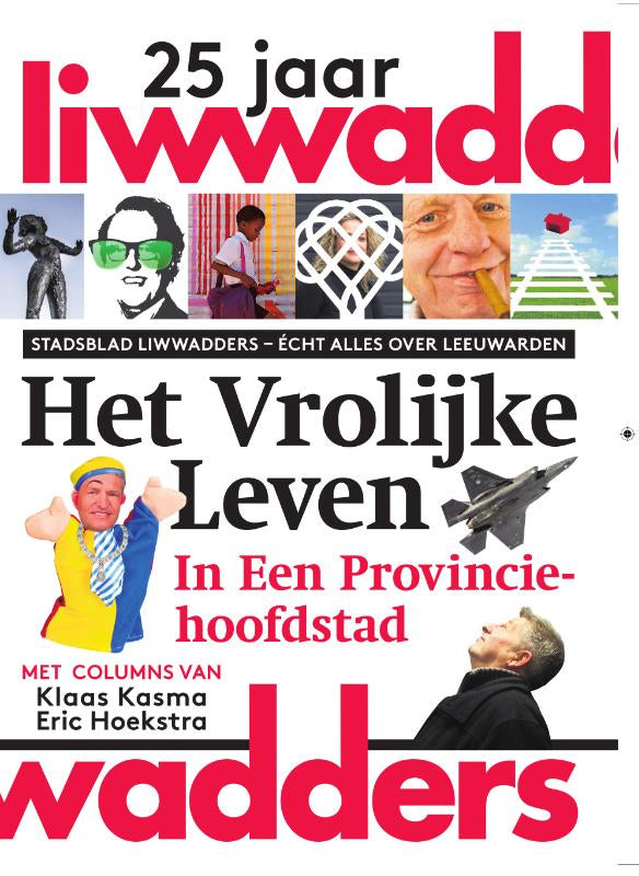 Het-vrolijke-leven-in-een-provinciehoofdstad-boek-cover-9789083344812