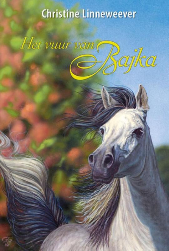 Het-vuur-van-Bajka-boek-cover-9789020622300