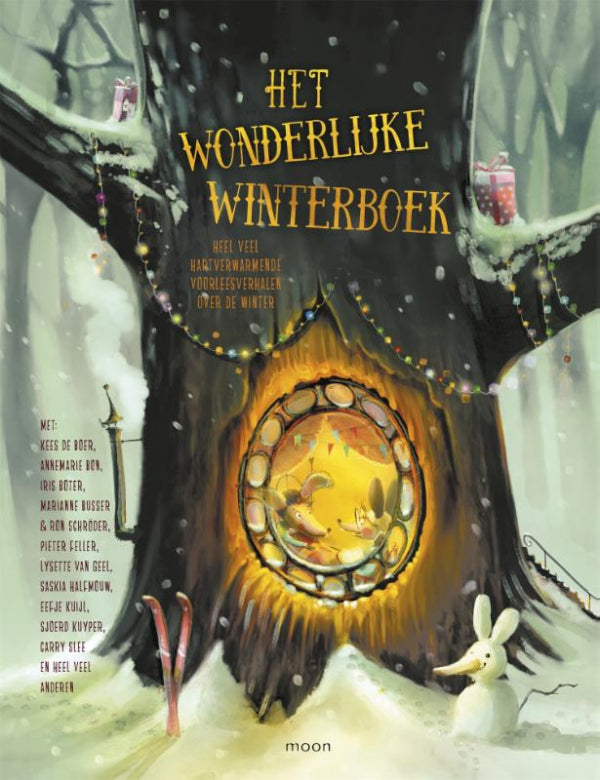 Het-wonderlijke-winterboek-boek-cover-9789048849314