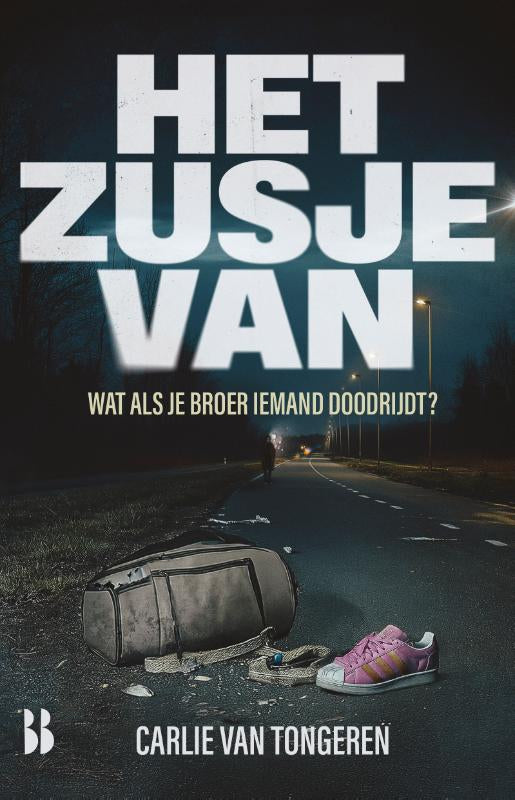 Het-zusje-van-boek-cover-9789463496032