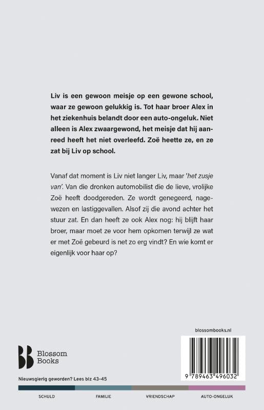 Het-zusje-van-flaptekst-9789463496032