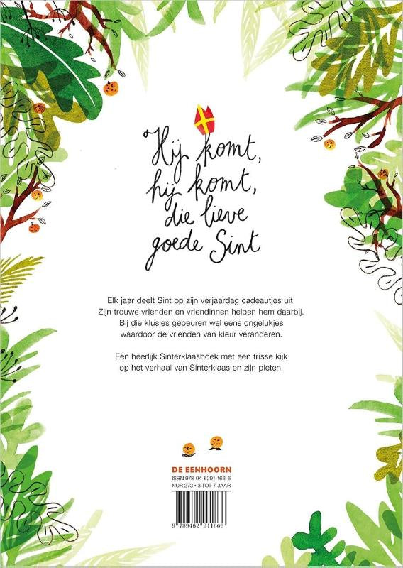 Hij-komt-hij-komt-die-lieve-goede-Sint-flaptekst-9789462911666