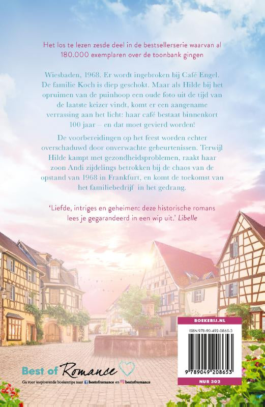 Hildes-feest-flaptekst-9789049208653