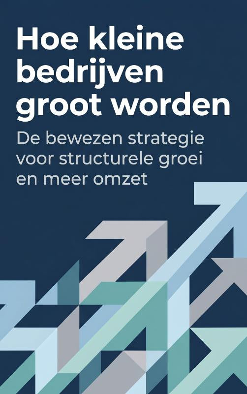 Hoe-kleine-bedrijven-groot-worden-boek-cover-9789465506401