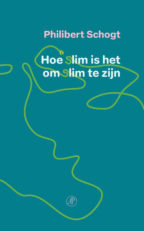 Hoe-slim-is-het-om-slim-te-zijn-boek-cover-9789029541978