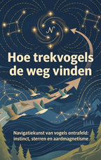 Hoe-trekvogels-de-weg-vinden-boek-cover-9789465643649