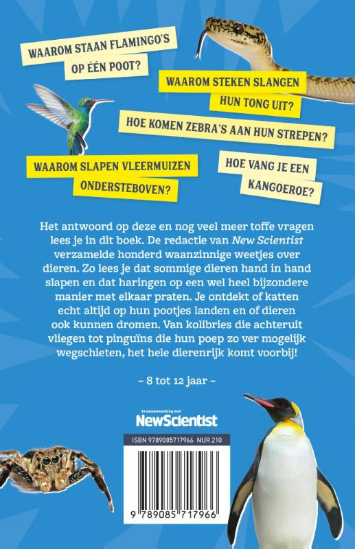 Hoe-vang-je-een-kangoeroe-flaptekst-9789085717966