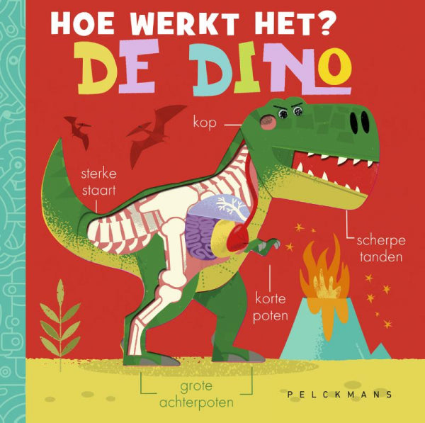 Hoe-werkt-het-De-dino-boek-cover-9789463838863