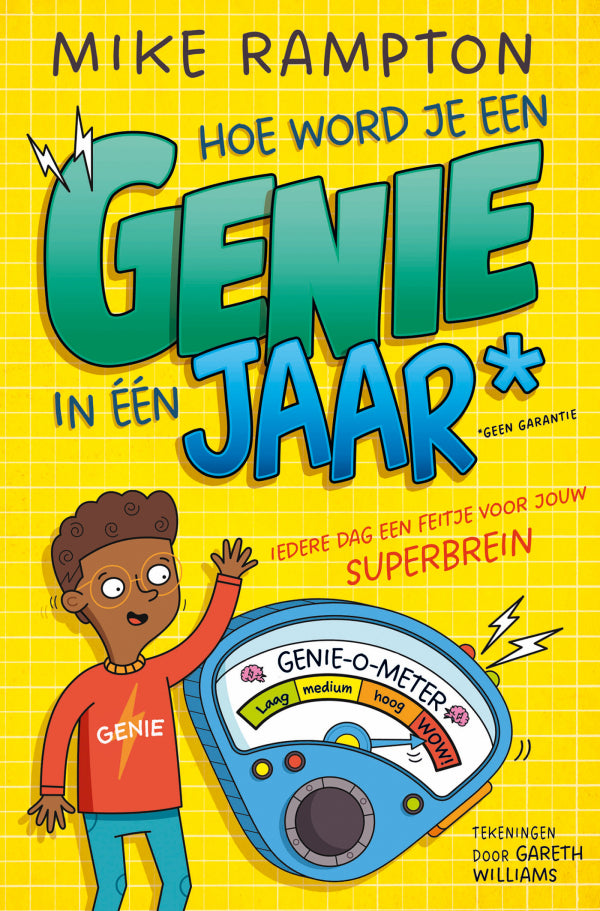 Hoe-word-je-een-genie-in-een-jaar-boek-cover-9789026183058