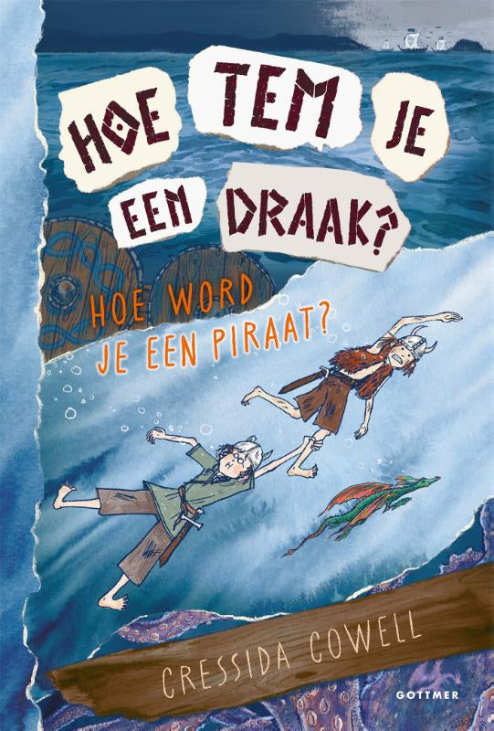 Hoe-word-je-een-piraat-boek-cover-9789025782993