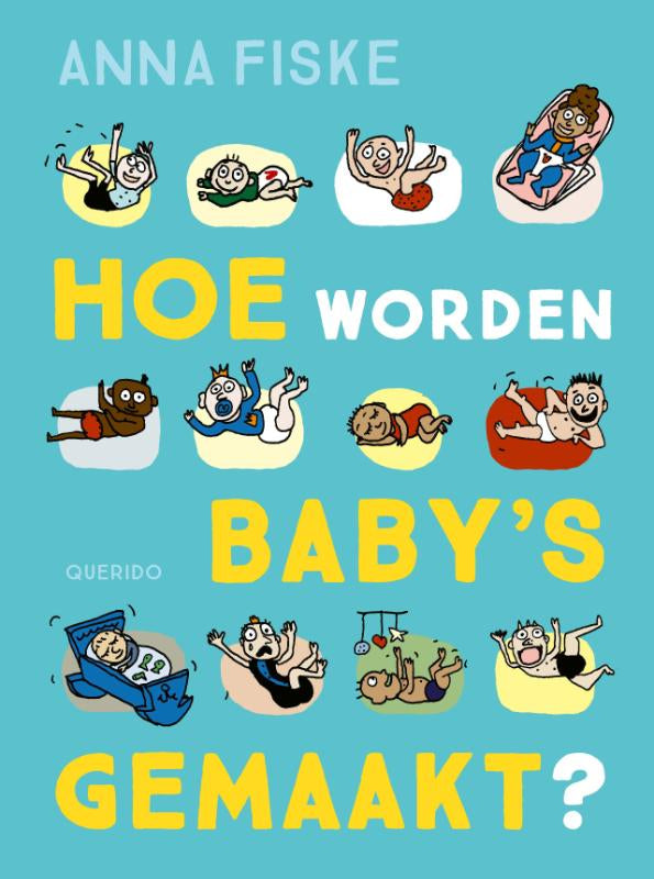 Hoe-worden-baby-s-gemaakt-boek-cover-9789045124247