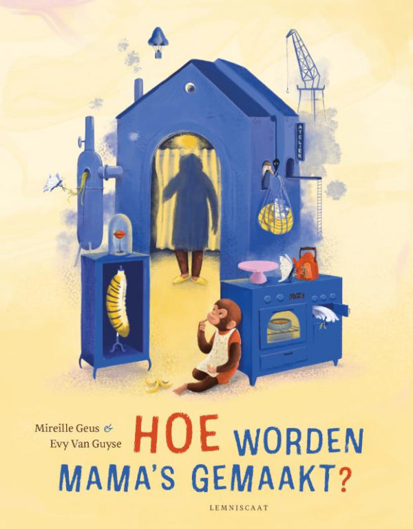 Hoe-worden-mama-s-gemaakt-boek-cover-9789047717744
