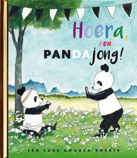 Hoera-een-pandajong-boek-cover-9789047628330
