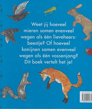 Hoeveel-weegt-een-lieveheersbeestje-flaptekst-9789053416570