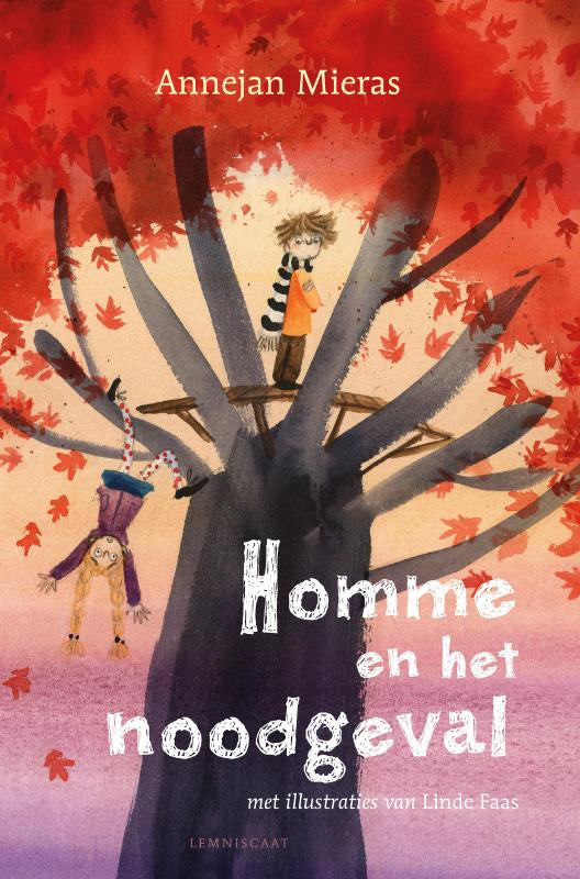 Homme-en-het-noodgeval-boek-cover-9789047711827