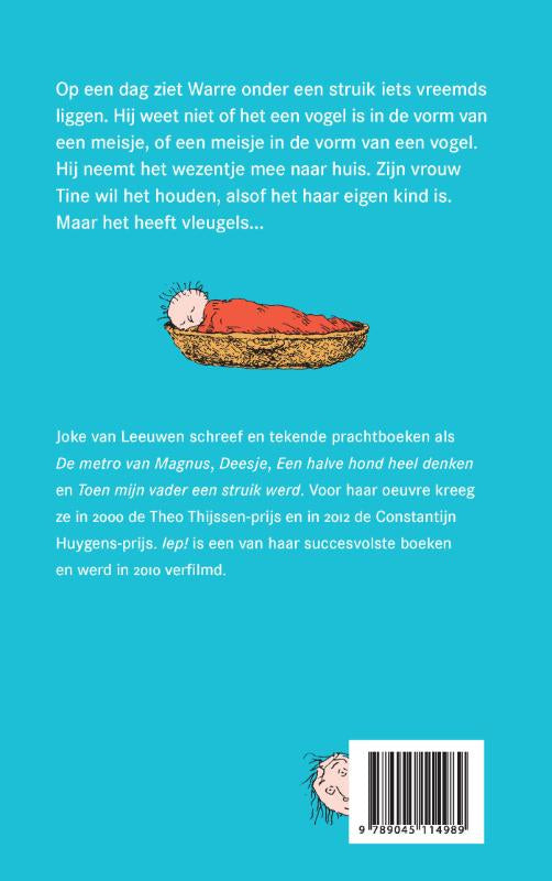 Iep-flaptekst-9789045114989