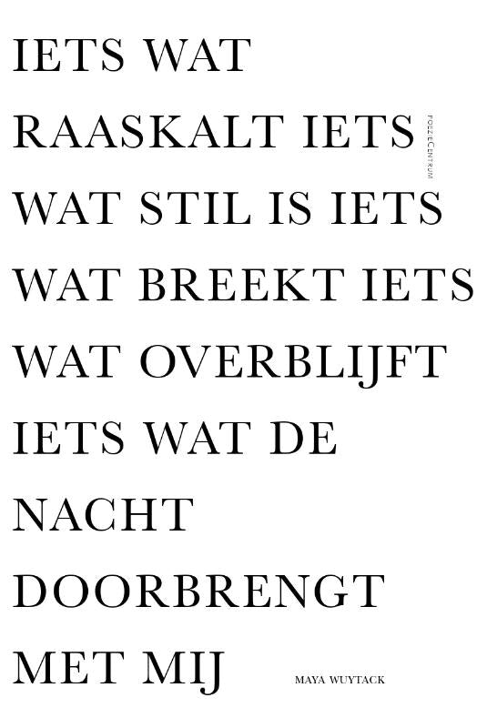 Iets-wat-raaskalt-iets-wat-stil-is-iets-wat-breekt-iets-wat-overblijft-iets-wat-de-nacht-doorbrengt-met-mij-boek-cover-9789056554521