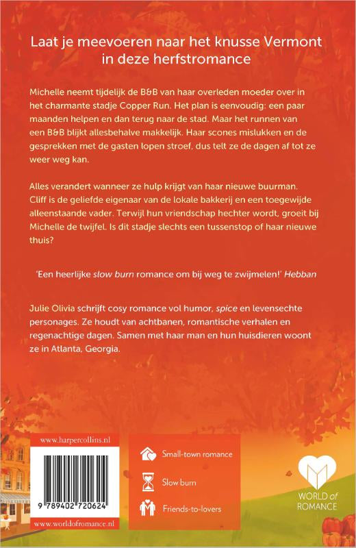 If-It-Makes-You-Happy-flaptekst-9789402720624