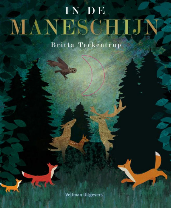 In-de-maneschijn-boek-cover-9789048315642