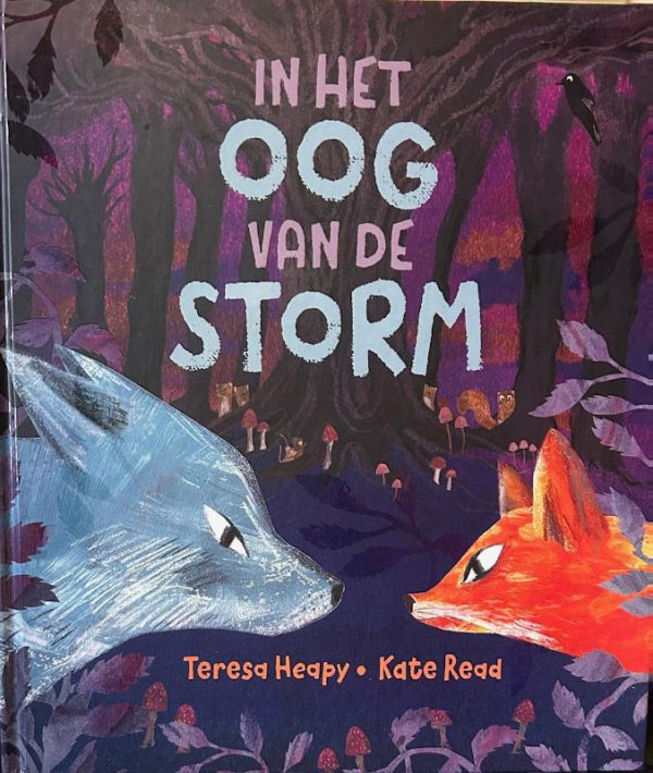 In-het-oog-van-de-storm-boek-cover-9789053418758