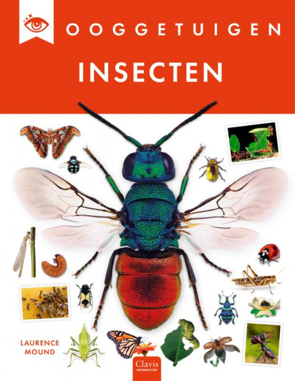 Insecten-boek-cover-9789044861273
